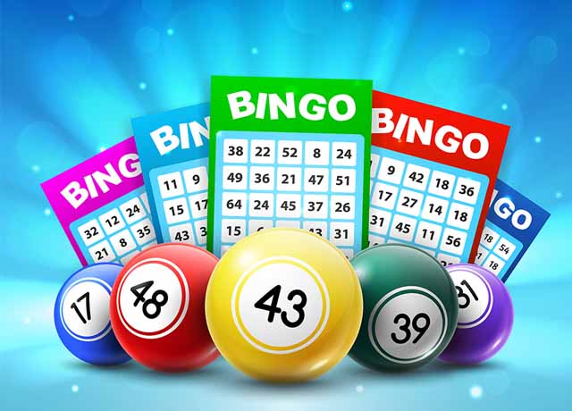 Contribution by game type: bingo game